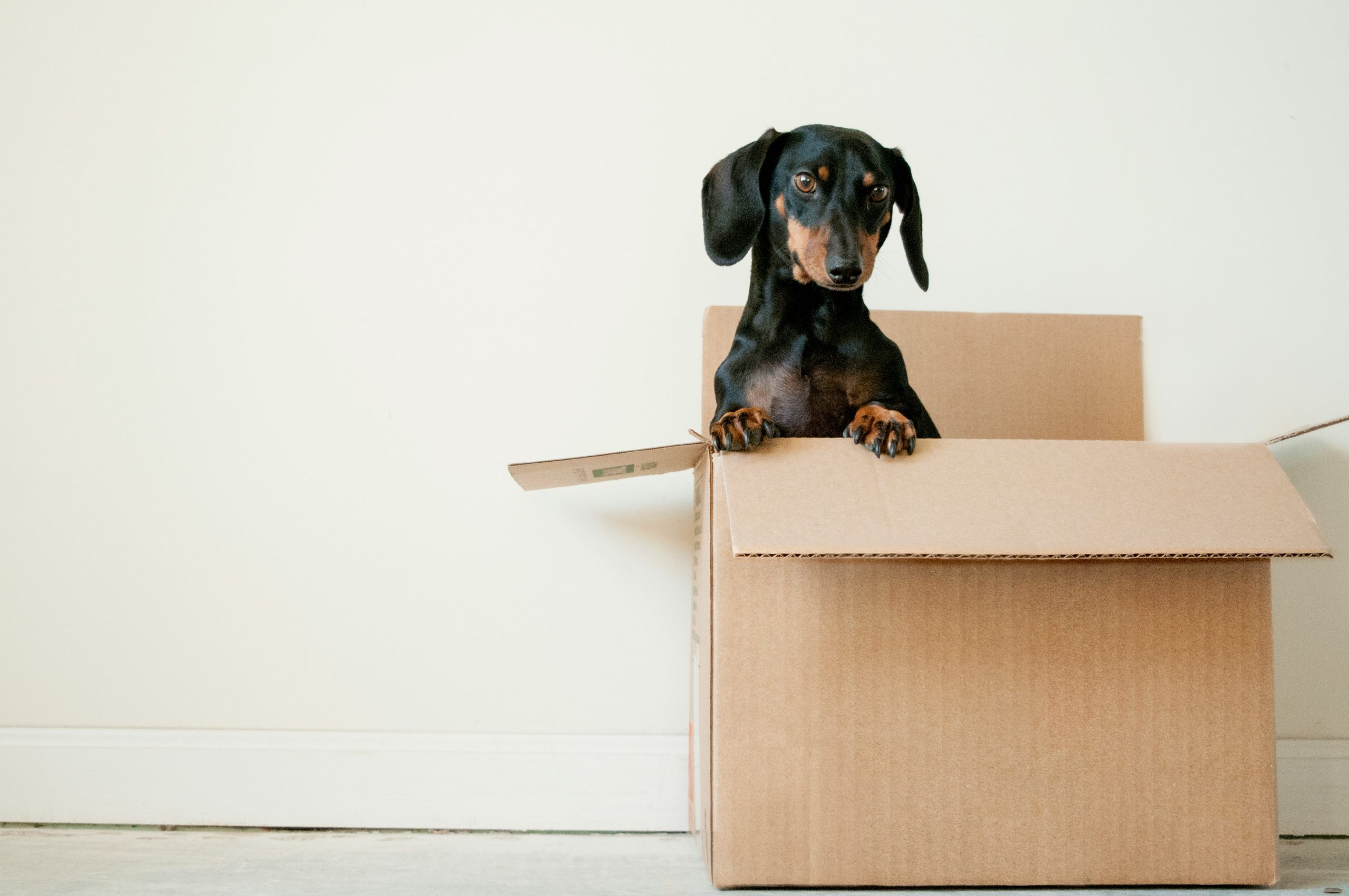 What to Consider When Turning Your Home into an Investment Property