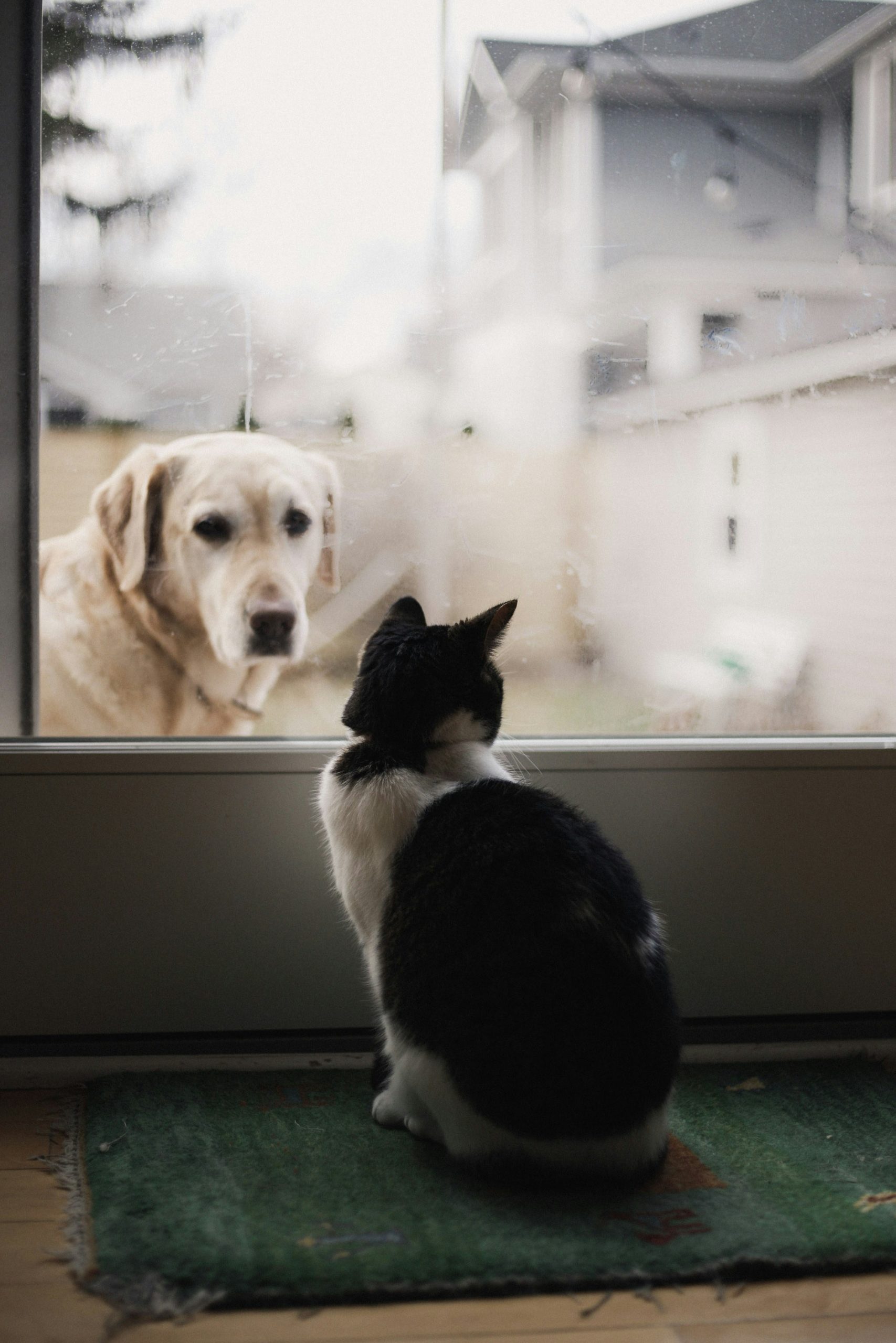 What if landlords and tenants weren’t natural born enemies?