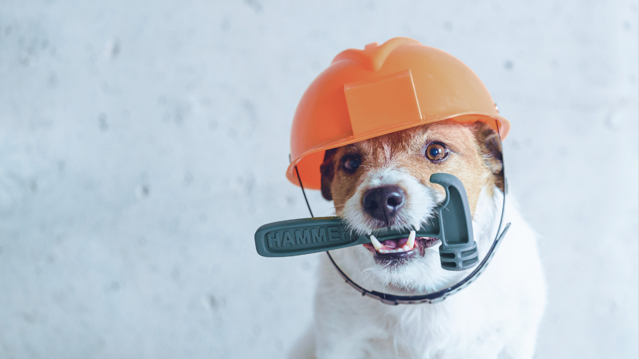 Strata Law Reform NSW: Easier Minor Repairs for Landlords